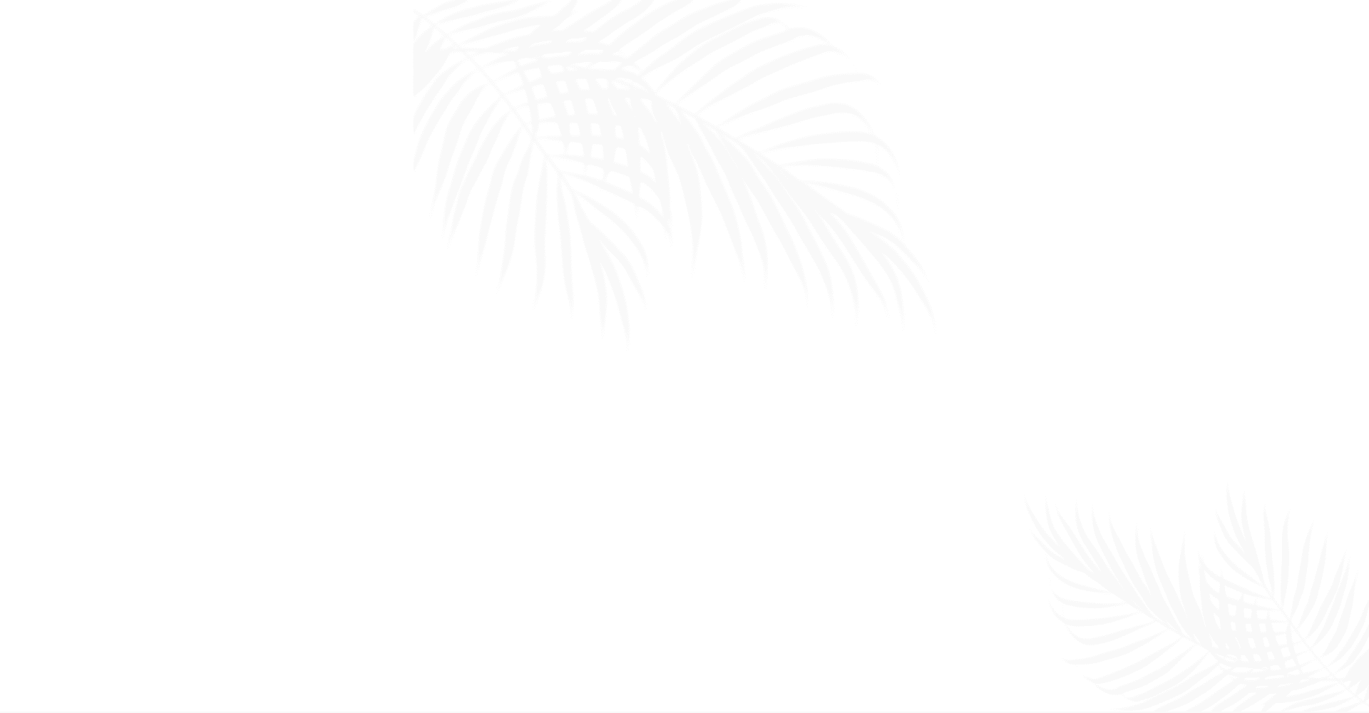 Slider Background